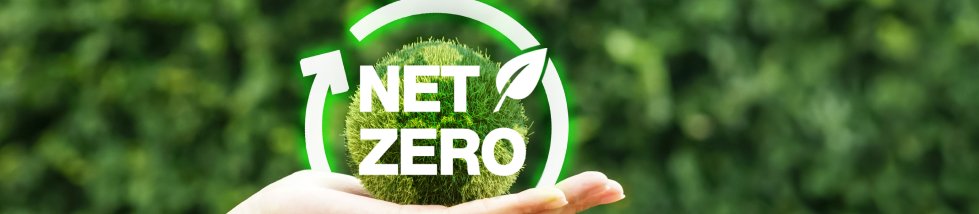 Capability of Indonesian Oil and Gas Companies to Implement Net Zero Emissions by 2050 Capability of Indonesian Oil and Gas Companies to Implement Net Zero Emissions by 2050