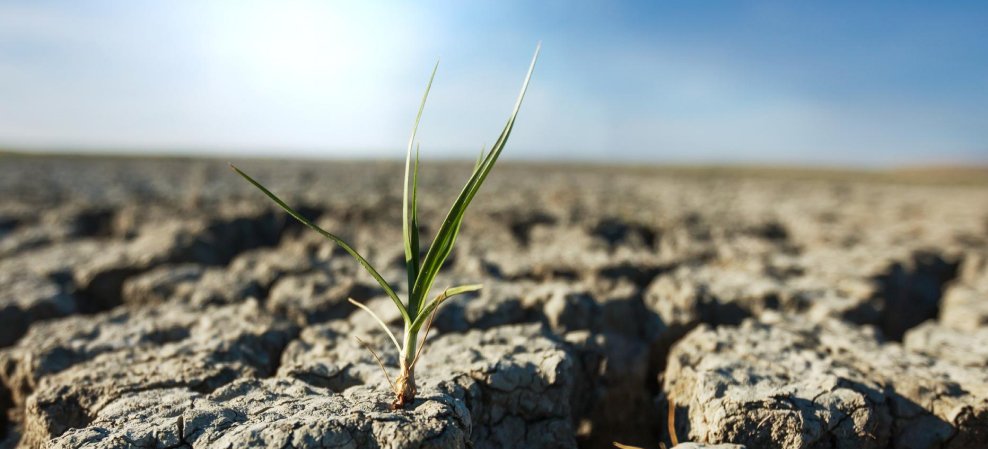 El Nino Has a Tendency to Reduce Agricultural Productivity in 2024 El Nino Has a Tendency to Reduce Agricultural Productivity in 2024